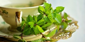 Kurz přiblíží možnosti i rizika léčivých rostlin a čajových směsí