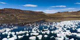 Polárníci potvrdili v Antarktidě výskyt ptačí chřipky