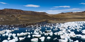 Polar explorers confirm bird flu in Antarctica