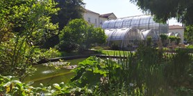 Vote for our botanical garden. It is about half a million!