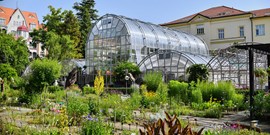 Soutěž o půl milionu pro botanickou zahradu spěje do finále
