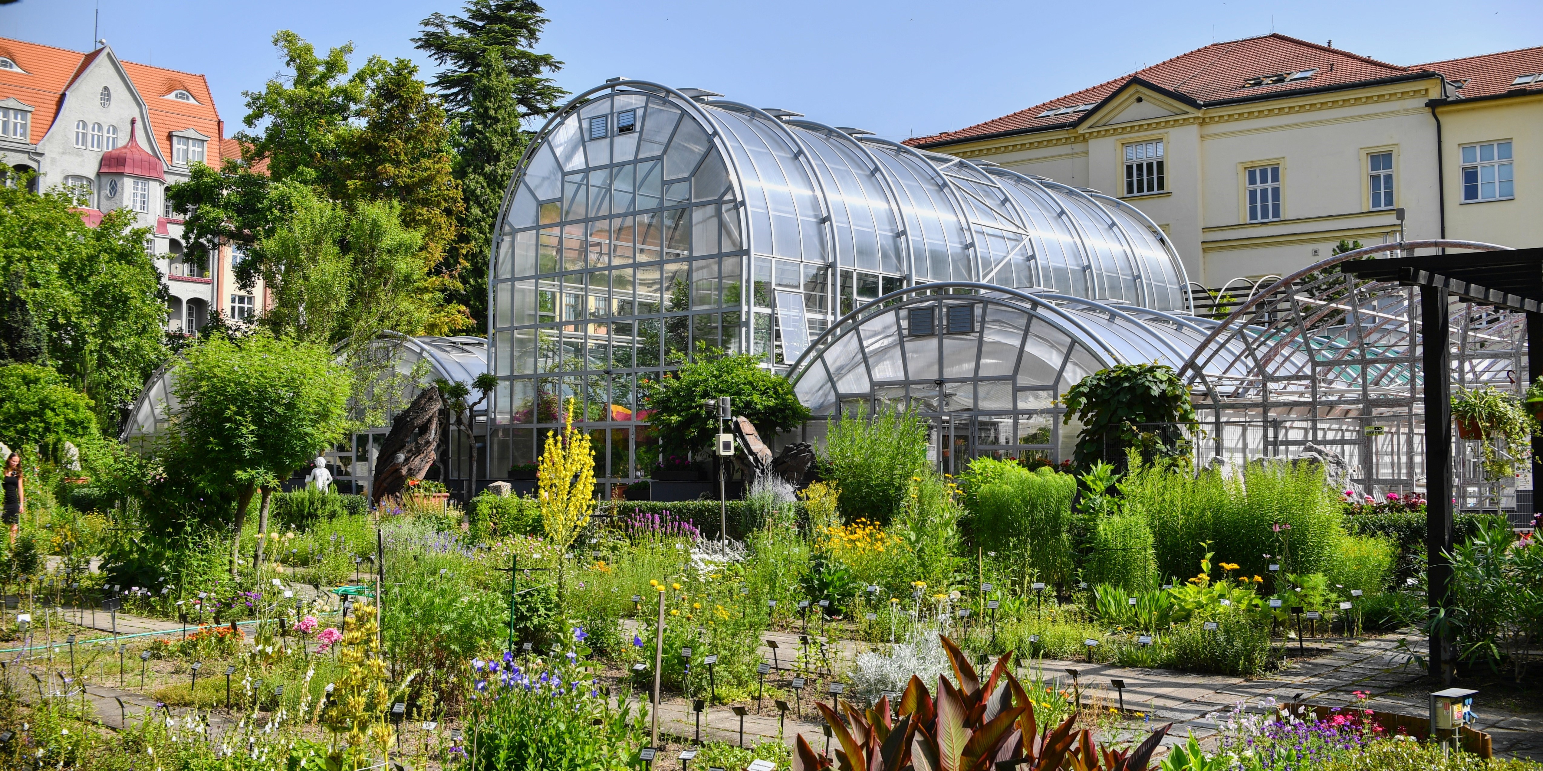 Soutěž o půl milionu pro botanickou zahradu! Hlasování spěje do finále