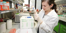 Univerzitní laboratoře se připravují na pomoc s testováním na koronavirus