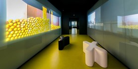 Mendelovo muzeum láká virtuální návštěvníky. Fyzicky otevře v červnu