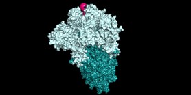 Scientists and computer scientists have tested known drugs for a new coronavirus