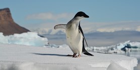 Do Antarktidy odlétá osmičlenná expedice, čeká ji karanténa v Chile