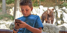 Studenti Muni vytvořili mobilní aplikaci pro brněnskou zoo
